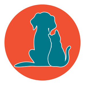 Fundraising Page: Abbie Dunn